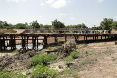 DSC09204